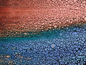 Preview wallpaper bubbles, stains, liquid, colorful, texture