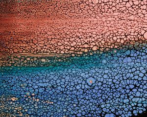 Preview wallpaper bubbles, stains, liquid, colorful, texture