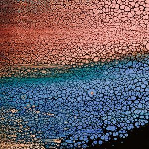 Preview wallpaper bubbles, stains, liquid, colorful, texture