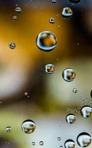 Preview wallpaper bubbles, water, drops, blur