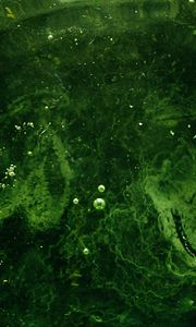 Preview wallpaper bubbles, water, liquid, green