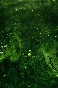 Preview wallpaper bubbles, water, liquid, green