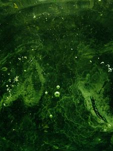 Preview wallpaper bubbles, water, liquid, green