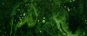 Preview wallpaper bubbles, water, liquid, green