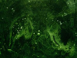 Preview wallpaper bubbles, water, liquid, green