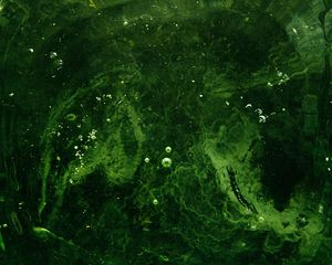 Preview wallpaper bubbles, water, liquid, green