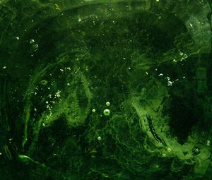 Preview wallpaper bubbles, water, liquid, green