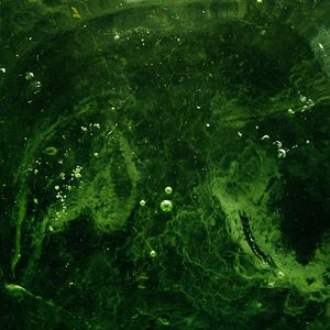 Preview wallpaper bubbles, water, liquid, green