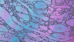 Preview wallpaper bubbles, water, shapes, gradient
