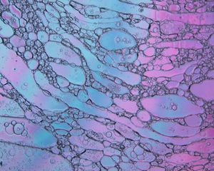 Preview wallpaper bubbles, water, shapes, gradient