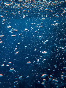 Preview wallpaper bubbles, water, underwater world, movement