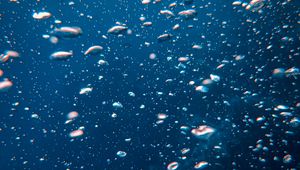 Preview wallpaper bubbles, water, underwater world, movement