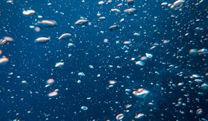 Preview wallpaper bubbles, water, underwater world, movement