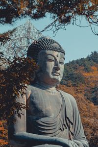 Preview wallpaper buddha, buddhism, sculpture, bronze, seoraksan, south korea