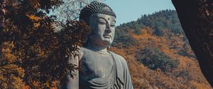 Preview wallpaper buddha, buddhism, sculpture, bronze, seoraksan, south korea