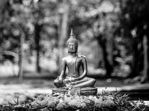 Preview wallpaper buddha, figurine, bw