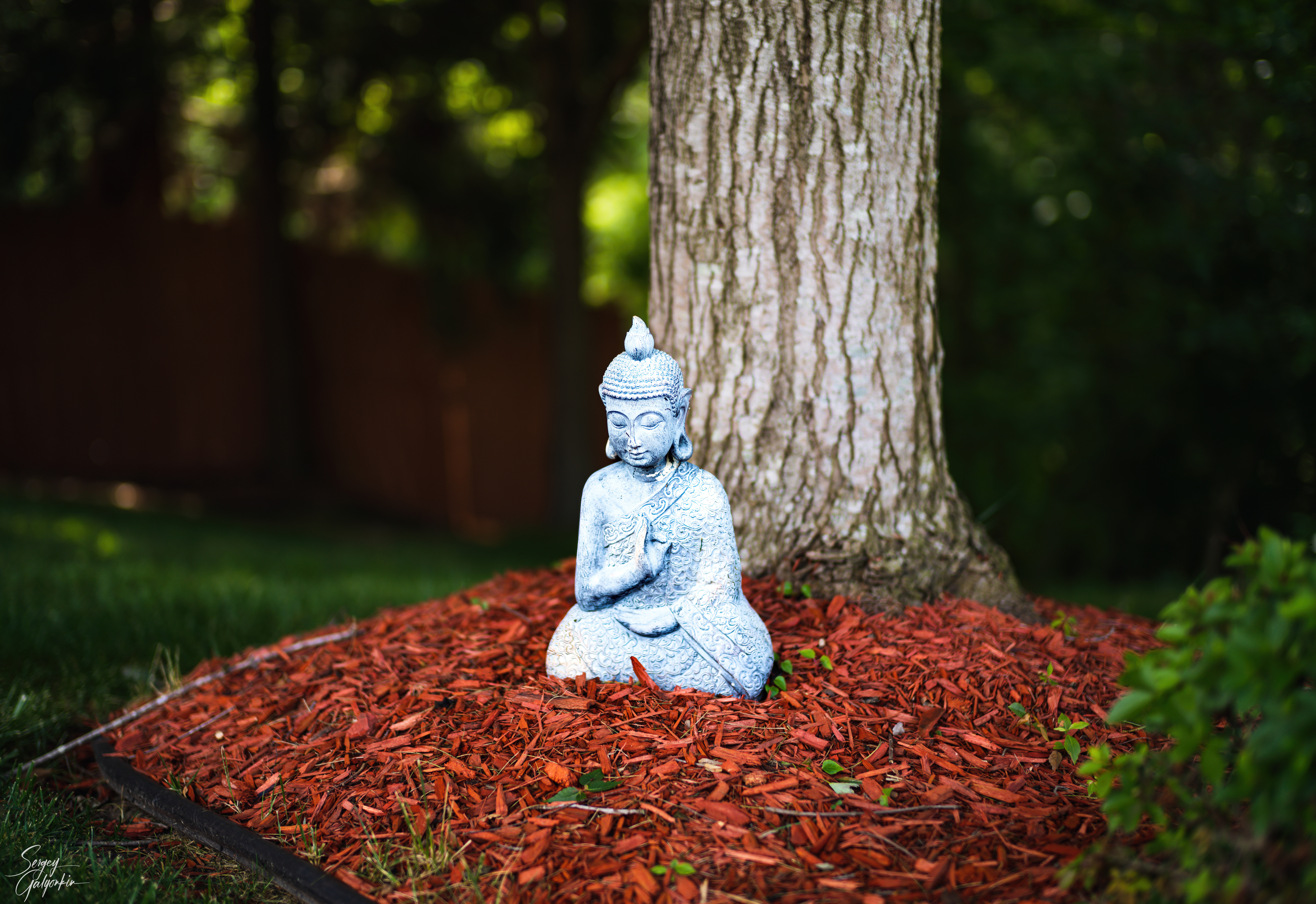 8733x5999 Wallpaper buddha, statue, tree