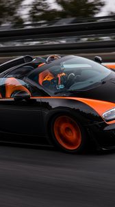 Preview wallpaper bugatti, grand sport, roadster, vitesse, wrc edition, veyron