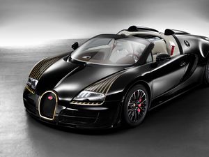 Preview wallpaper bugatti veyron, black bess, w16