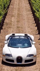 Preview wallpaper bugatti veyron, road, grass, cars, stylish