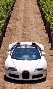 Preview wallpaper bugatti veyron, road, grass, cars, stylish