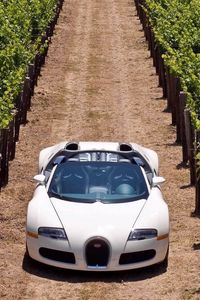 Preview wallpaper bugatti veyron, road, grass, cars, stylish