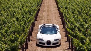 Preview wallpaper bugatti veyron, road, grass, cars, stylish