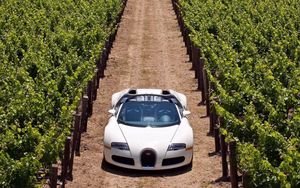 Preview wallpaper bugatti veyron, road, grass, cars, stylish