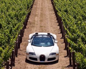 Preview wallpaper bugatti veyron, road, grass, cars, stylish