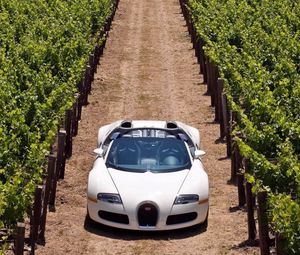 Preview wallpaper bugatti veyron, road, grass, cars, stylish