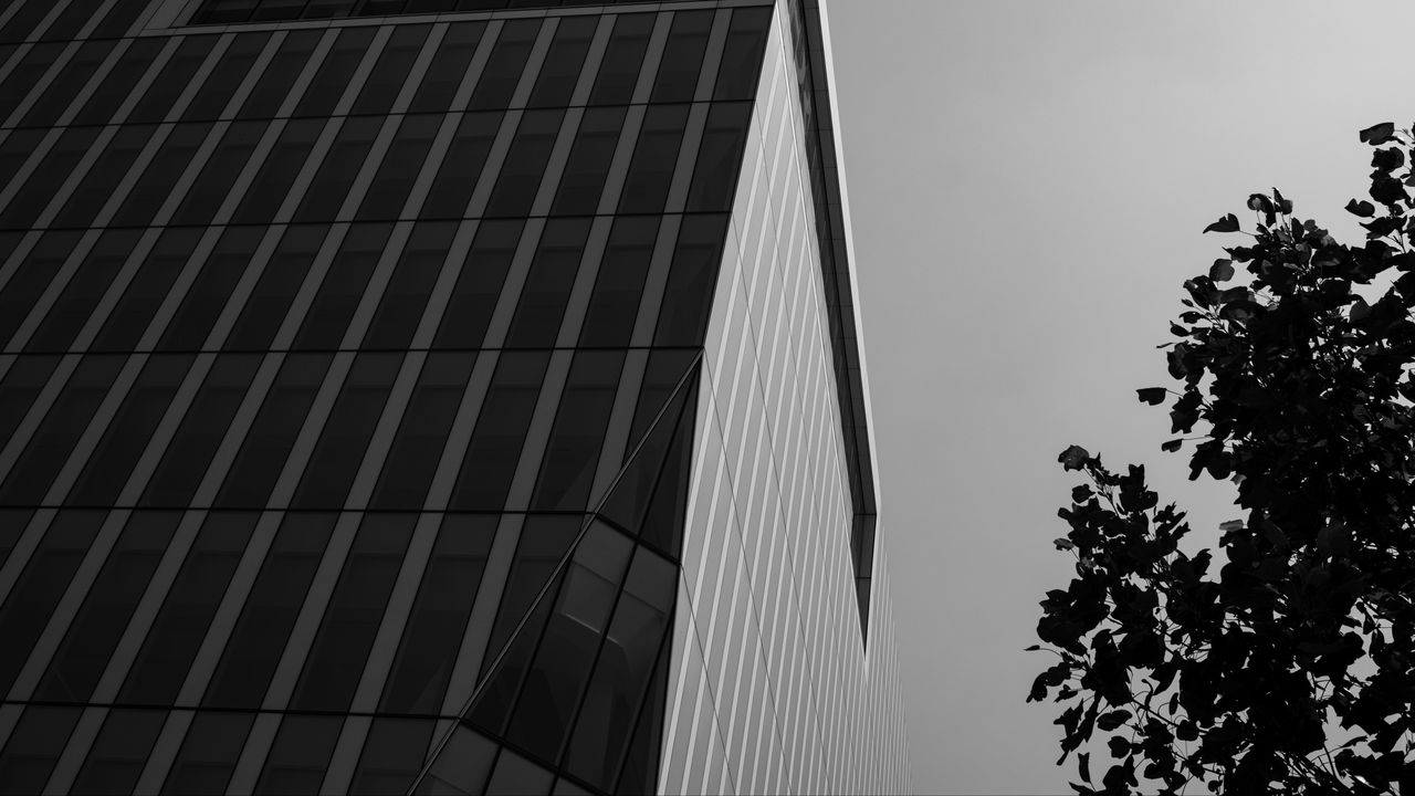 Wallpaper building, architecture, angle, tree, leaves, bw