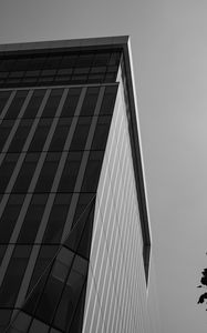 Preview wallpaper building, architecture, angle, tree, leaves, bw