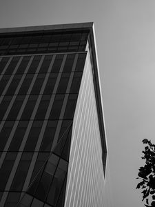 Preview wallpaper building, architecture, angle, tree, leaves, bw