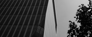 Preview wallpaper building, architecture, angle, tree, leaves, bw
