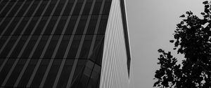 Preview wallpaper building, architecture, angle, tree, leaves, bw