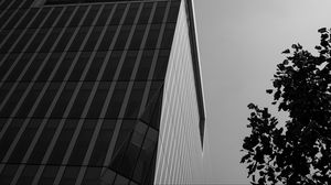 Preview wallpaper building, architecture, angle, tree, leaves, bw