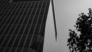 Preview wallpaper building, architecture, angle, tree, leaves, bw
