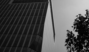 Preview wallpaper building, architecture, angle, tree, leaves, bw