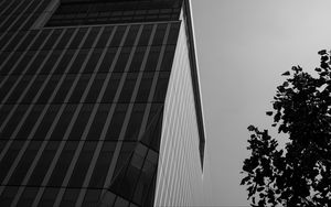 Preview wallpaper building, architecture, angle, tree, leaves, bw