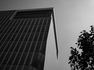 Preview wallpaper building, architecture, angle, tree, leaves, bw