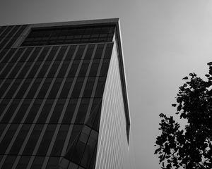 Preview wallpaper building, architecture, angle, tree, leaves, bw