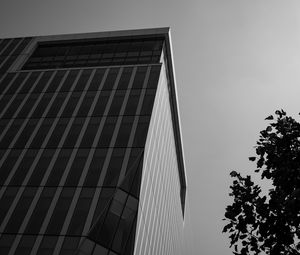 Preview wallpaper building, architecture, angle, tree, leaves, bw