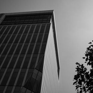 Preview wallpaper building, architecture, angle, tree, leaves, bw