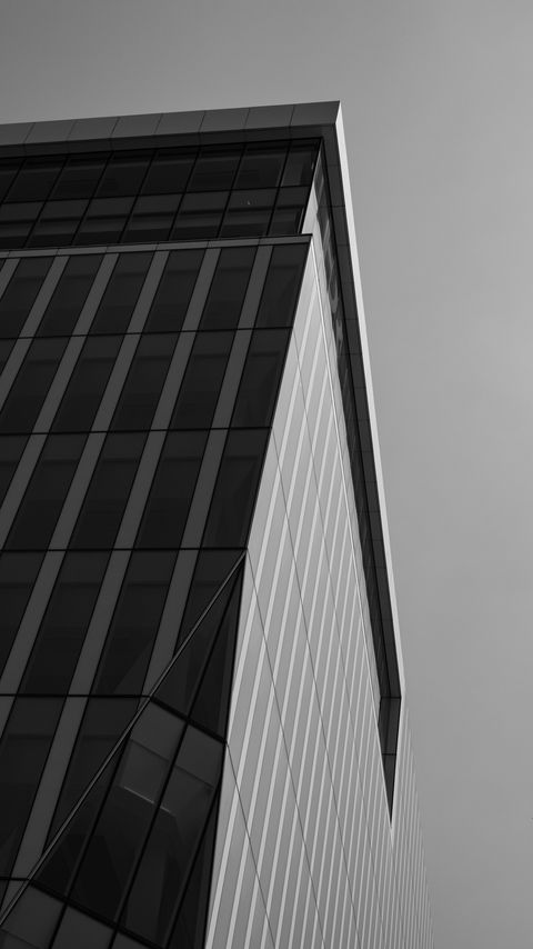 480x854 Wallpaper building, architecture, angle, tree, leaves, bw