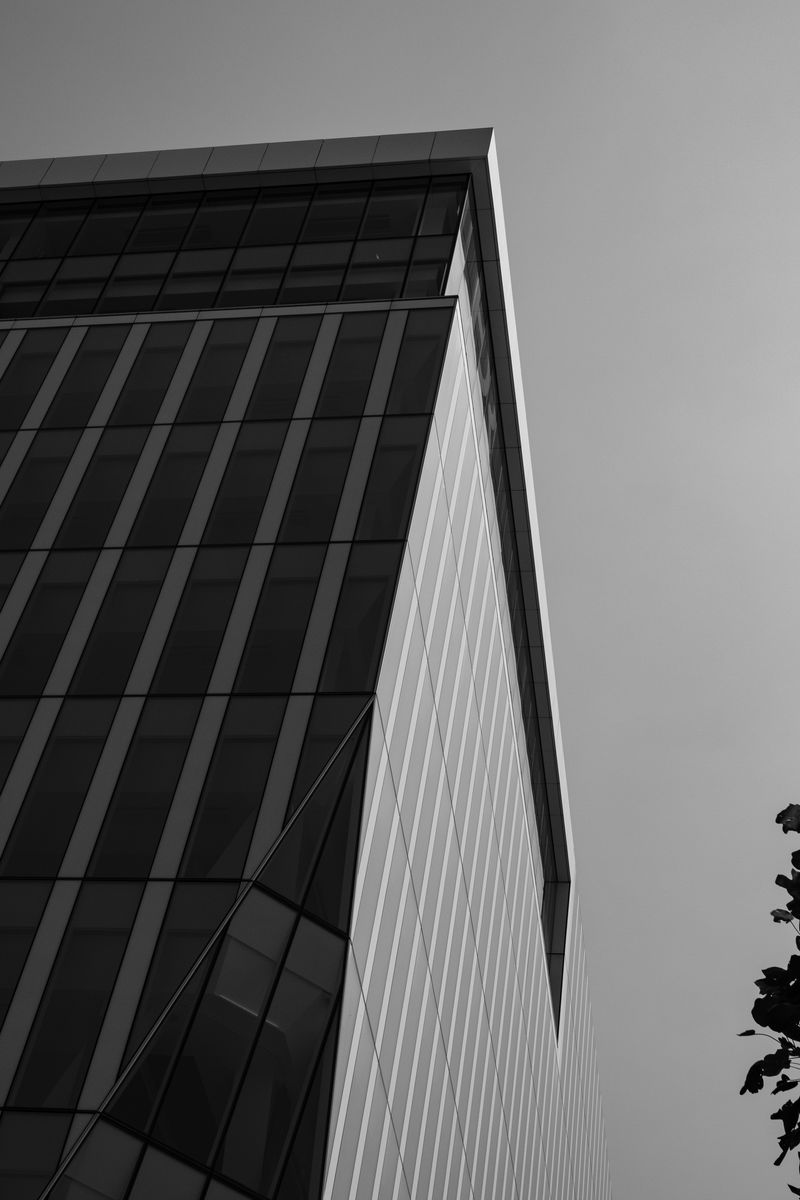800x1200 Wallpaper building, architecture, angle, tree, leaves, bw