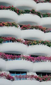 Preview wallpaper building, architecture, balconies, white, flowers