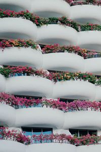 Preview wallpaper building, architecture, balconies, white, flowers