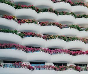 Preview wallpaper building, architecture, balconies, white, flowers