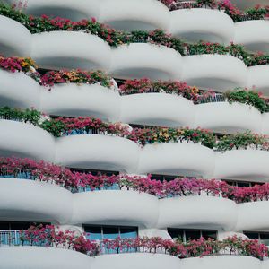 Preview wallpaper building, architecture, balconies, white, flowers