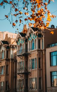 Preview wallpaper building, architecture, facade, tree, leaves